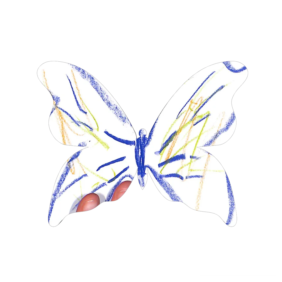 Original Butterfly Image