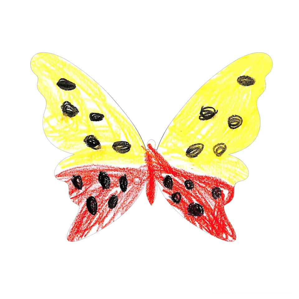 Original Butterfly Image