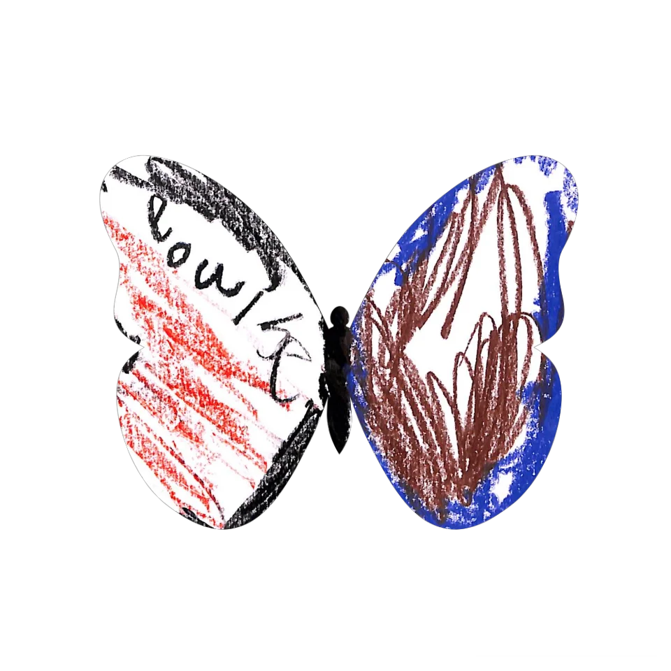 Original Butterfly Image
