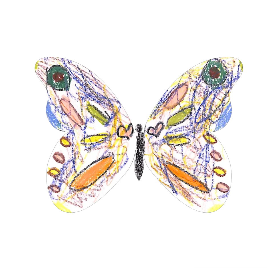 Original Butterfly Image
