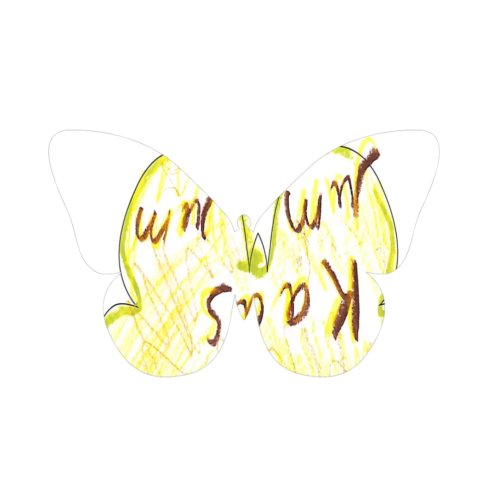 Original Butterfly Image