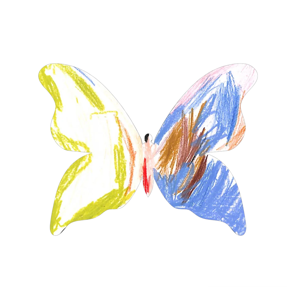 Original Butterfly Image