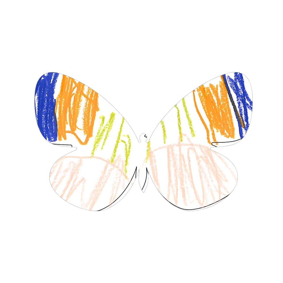 Original Butterfly Image