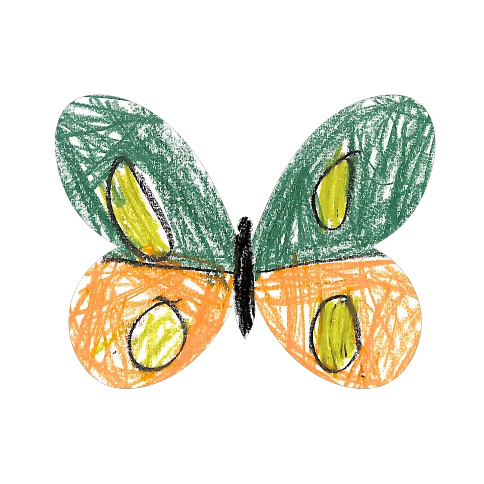 Original Butterfly Image