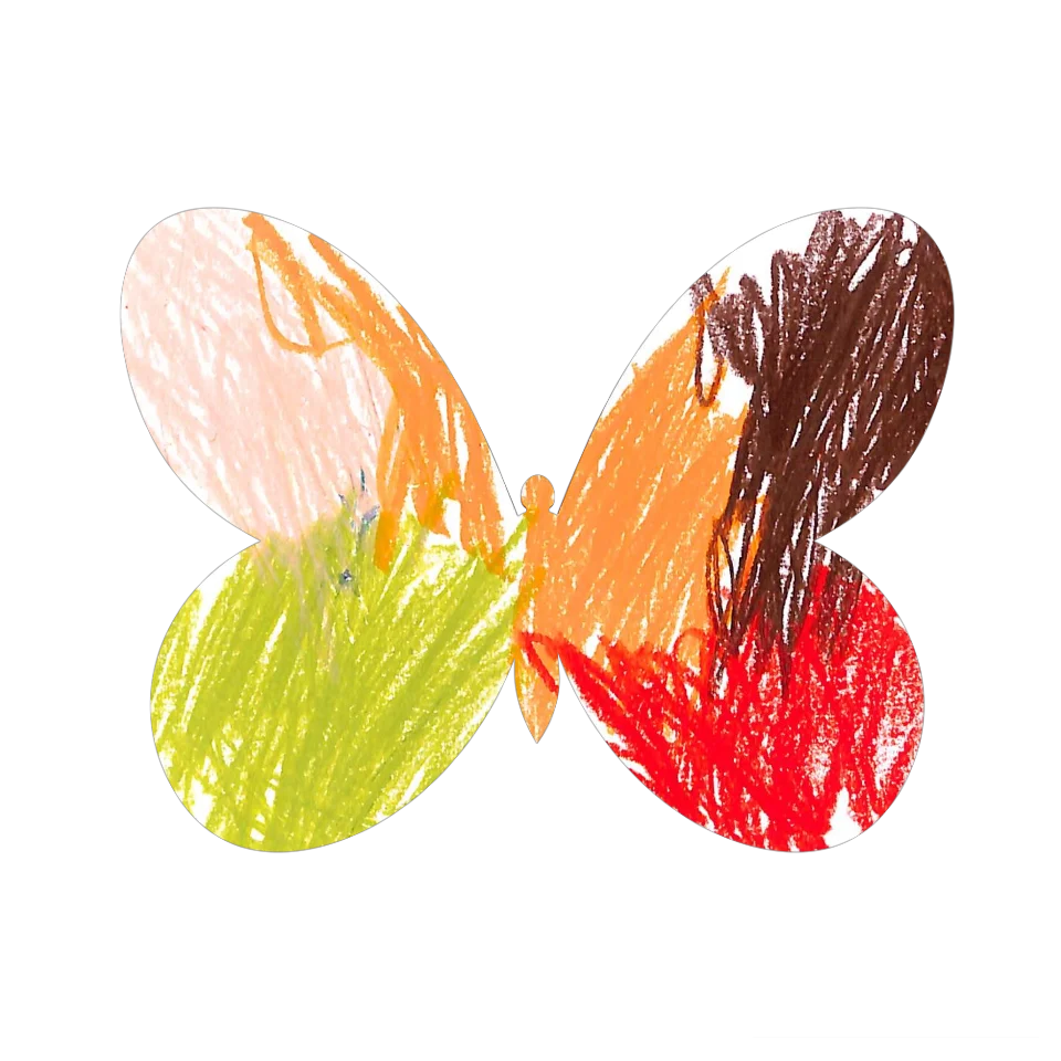 Original Butterfly Image