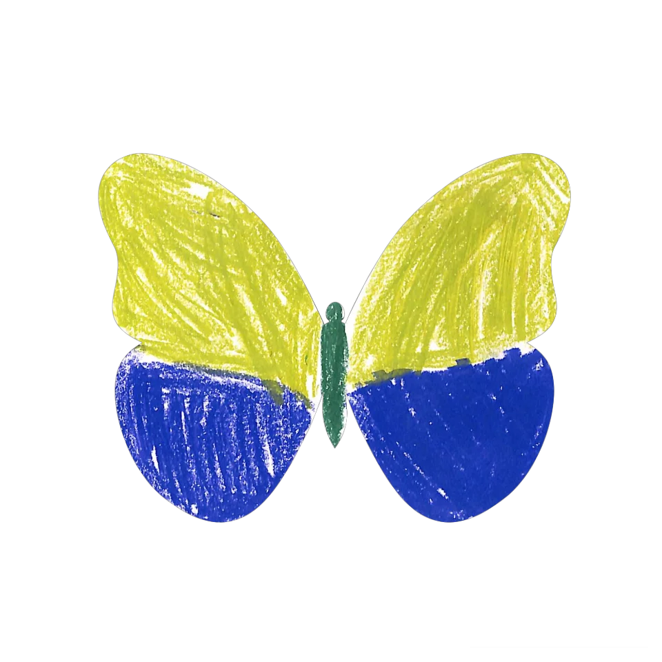 Original Butterfly Image