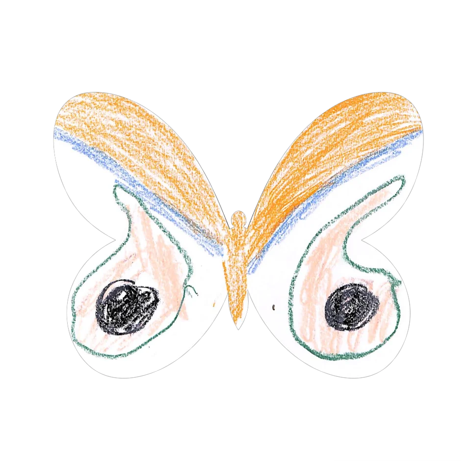 Original Butterfly Image