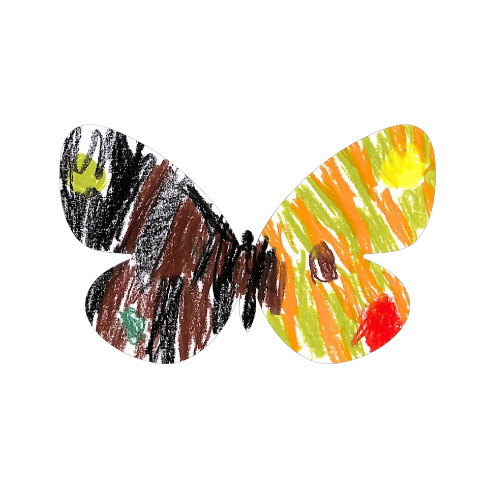 Original Butterfly Image
