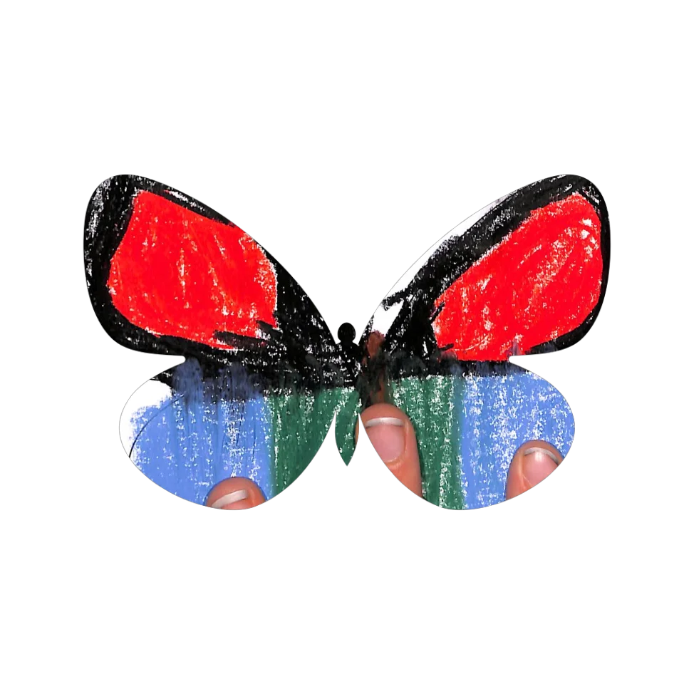 Original Butterfly Image