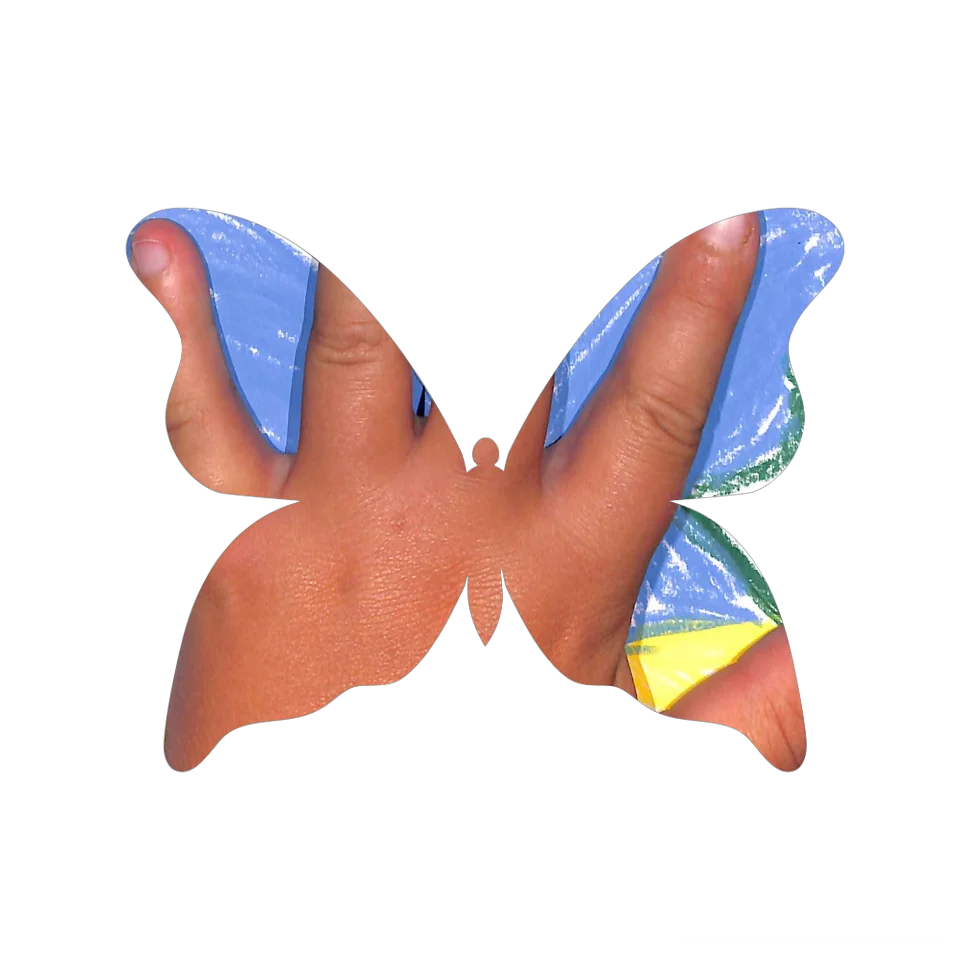Original Butterfly Image