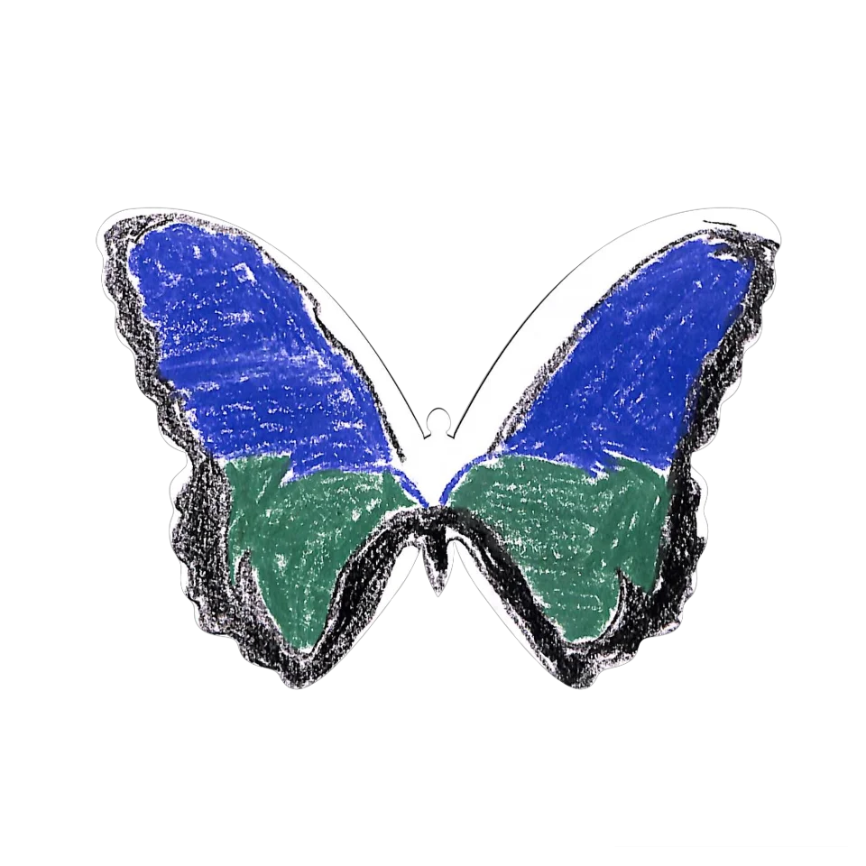 Original Butterfly Image