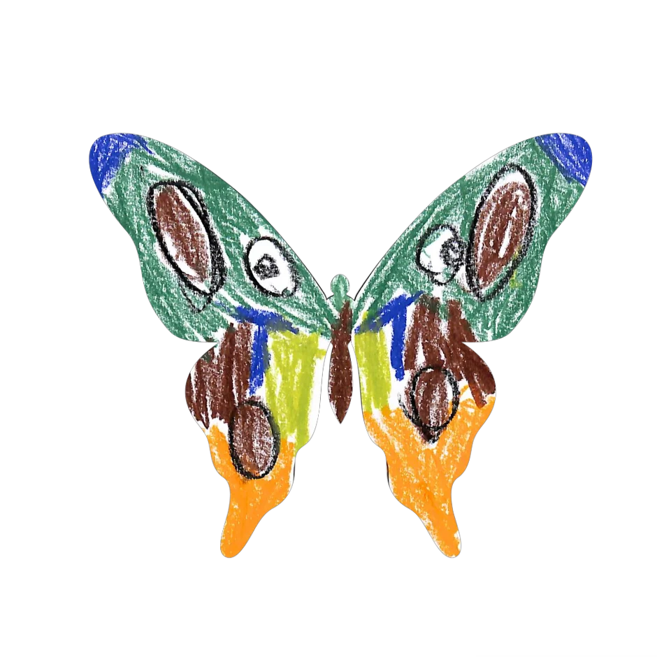 Original Butterfly Image