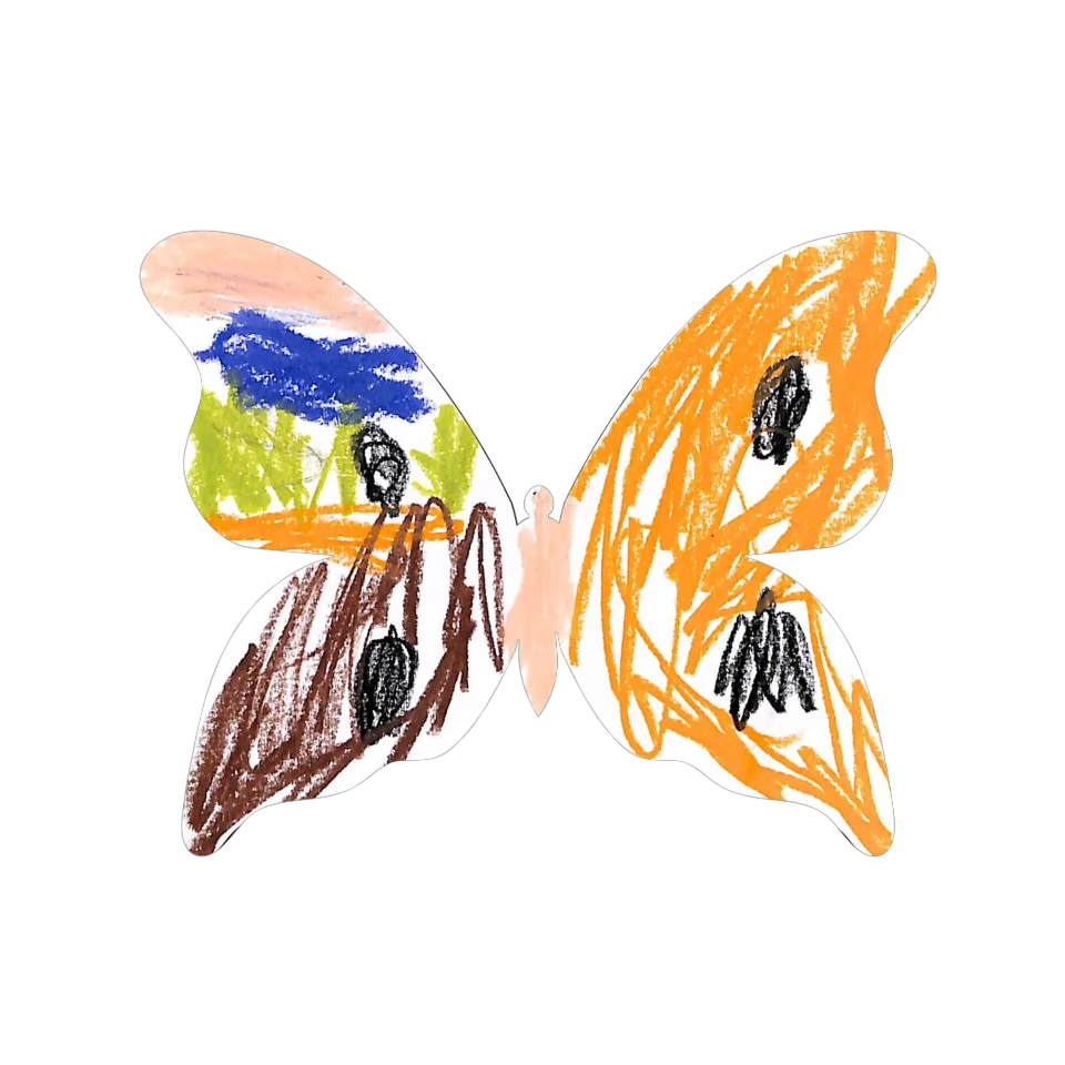 Original Butterfly Image