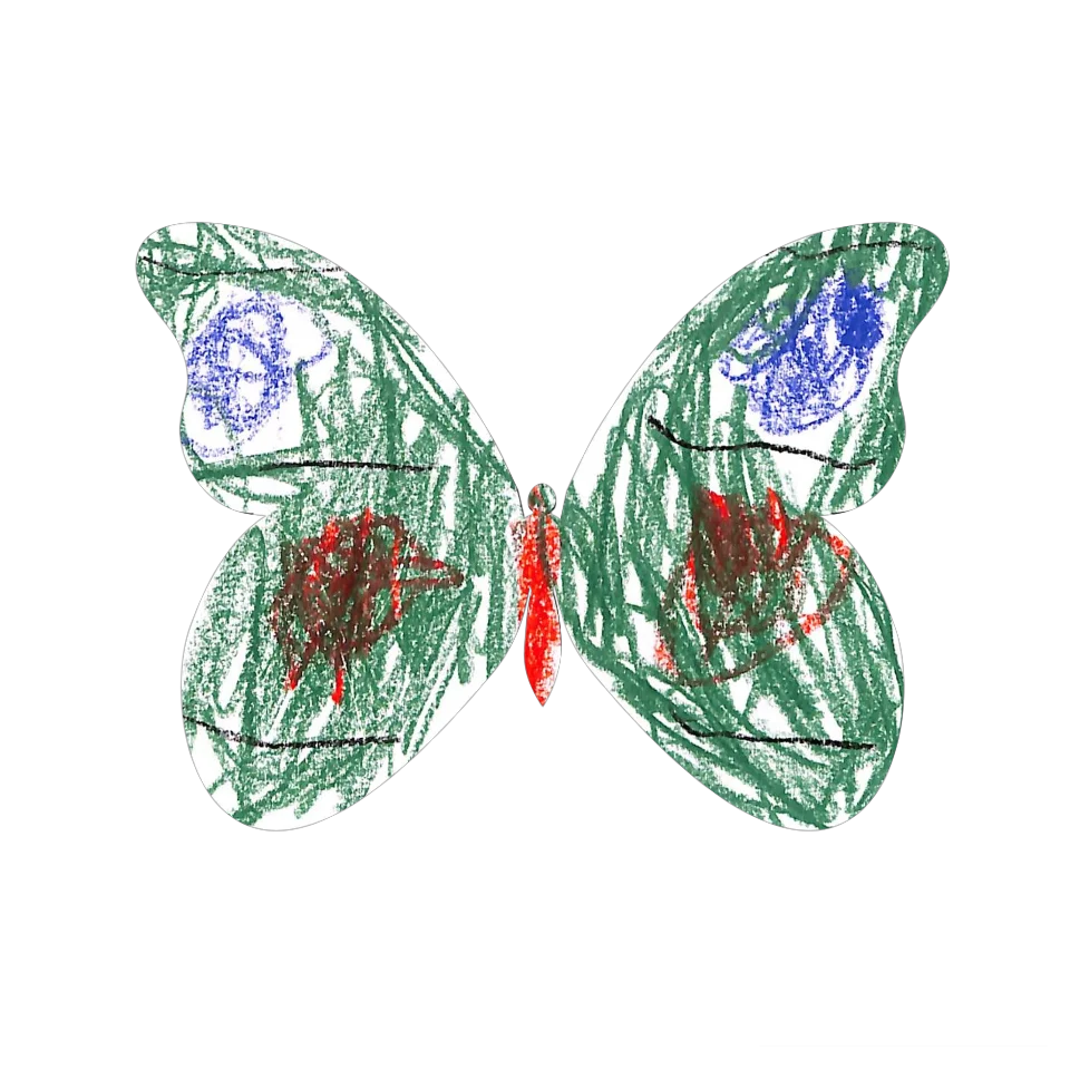 Original Butterfly Image