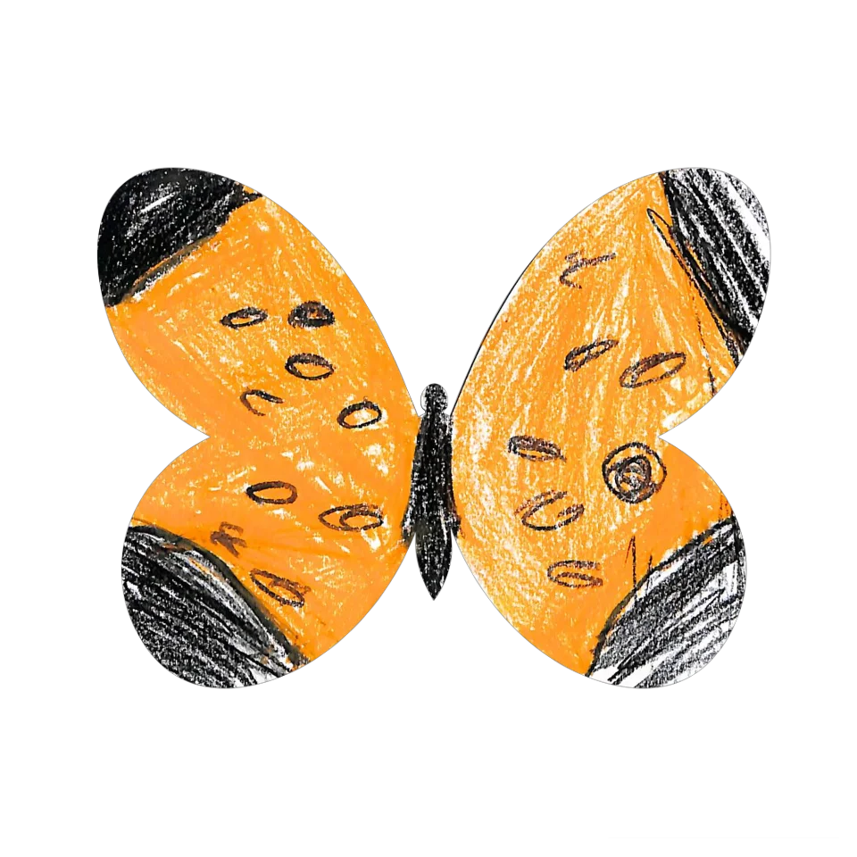 Original Butterfly Image