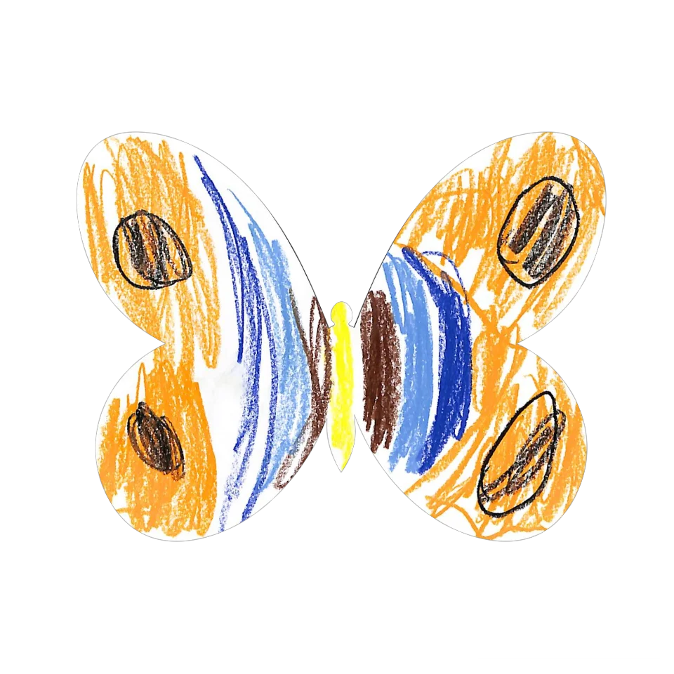 Original Butterfly Image