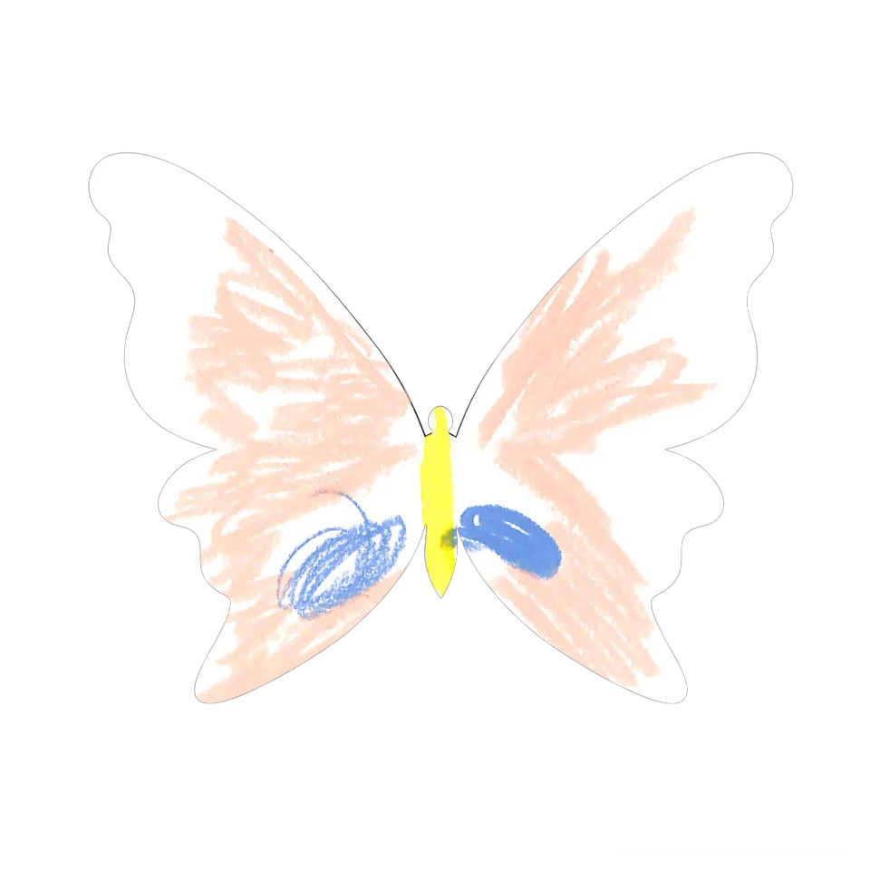 Original Butterfly Image