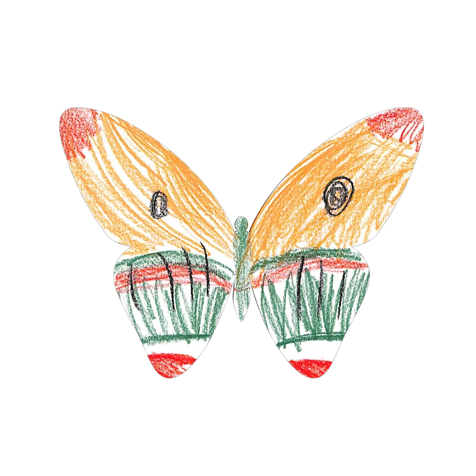 Original Butterfly Image