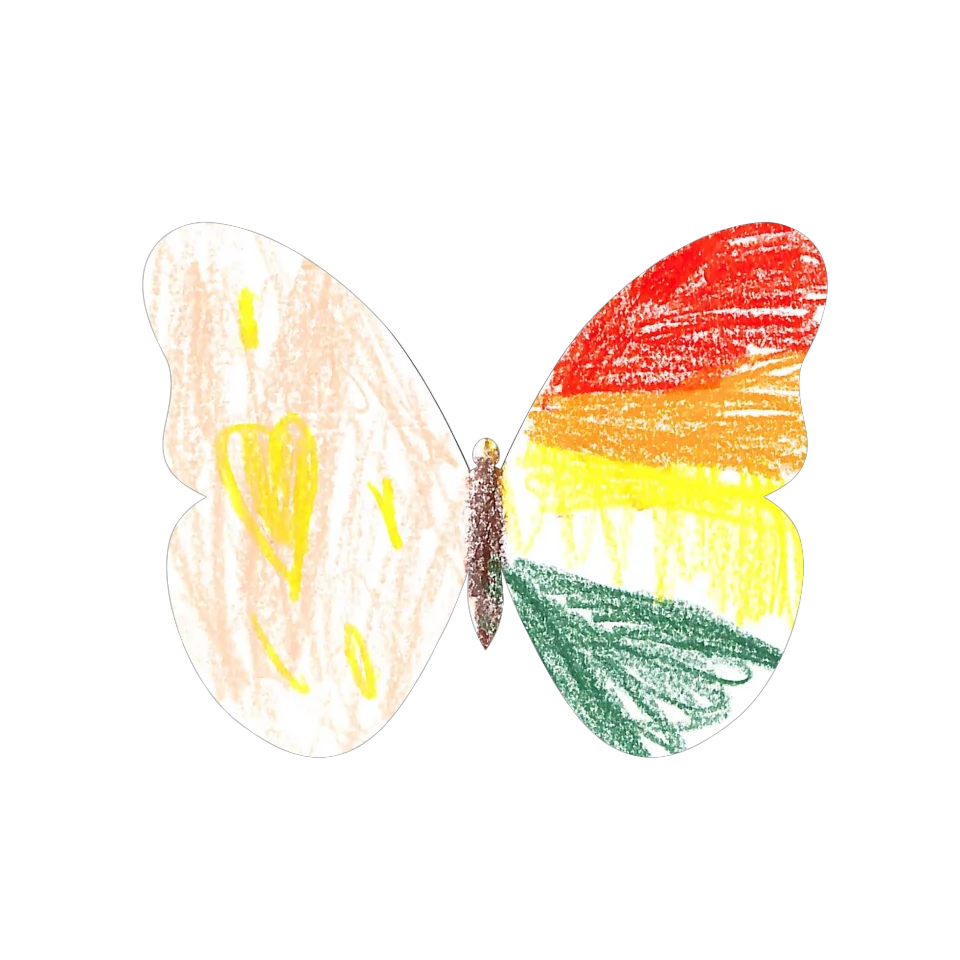Original Butterfly Image