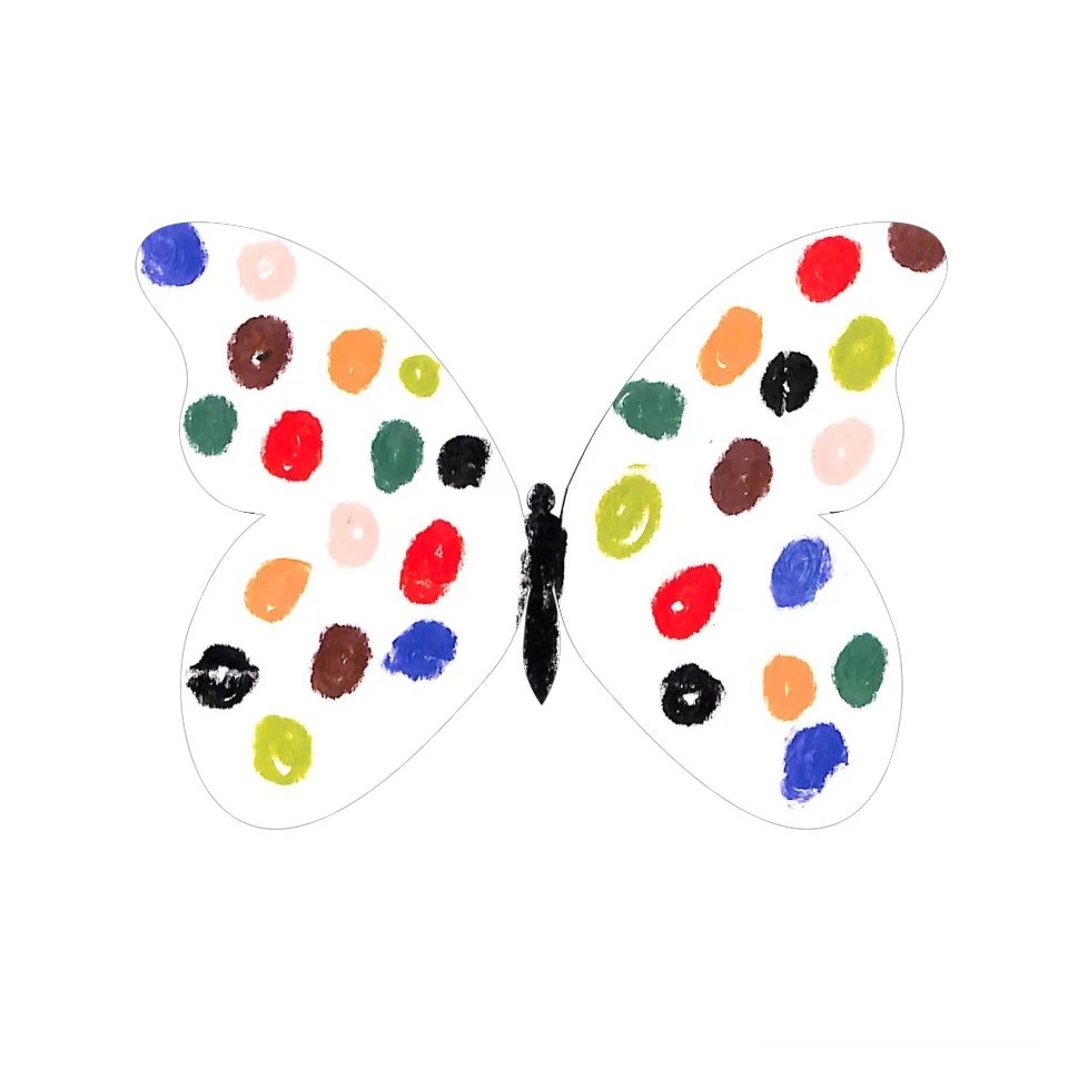 Original Butterfly Image