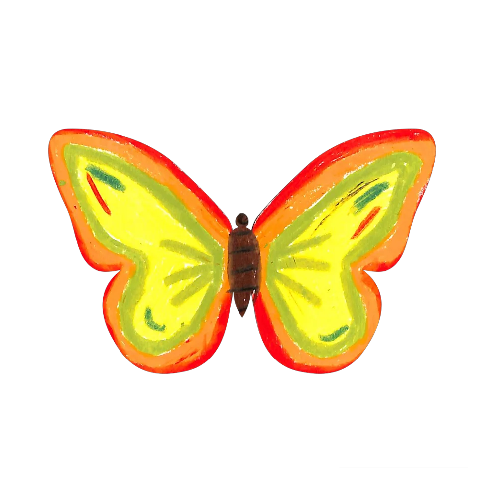 Original Butterfly Image