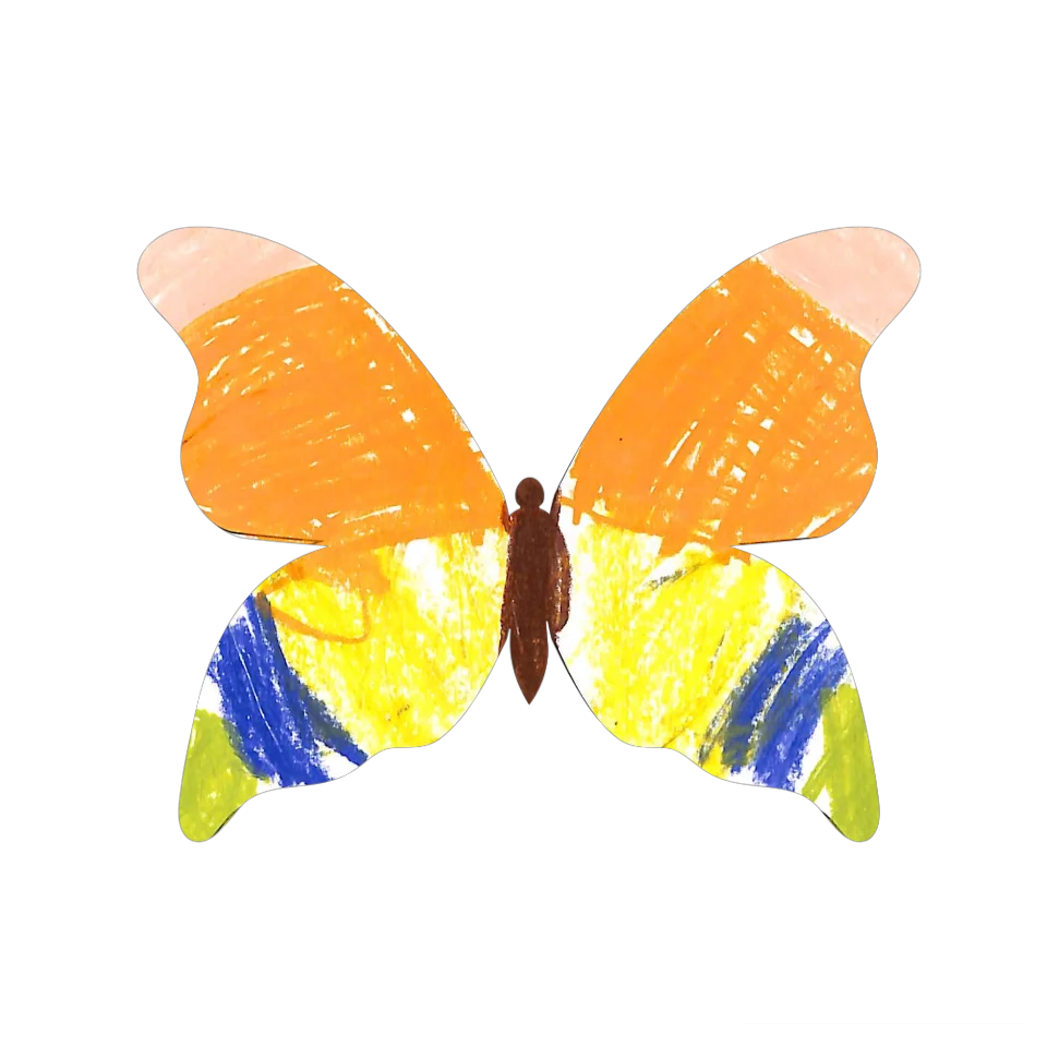 Original Butterfly Image