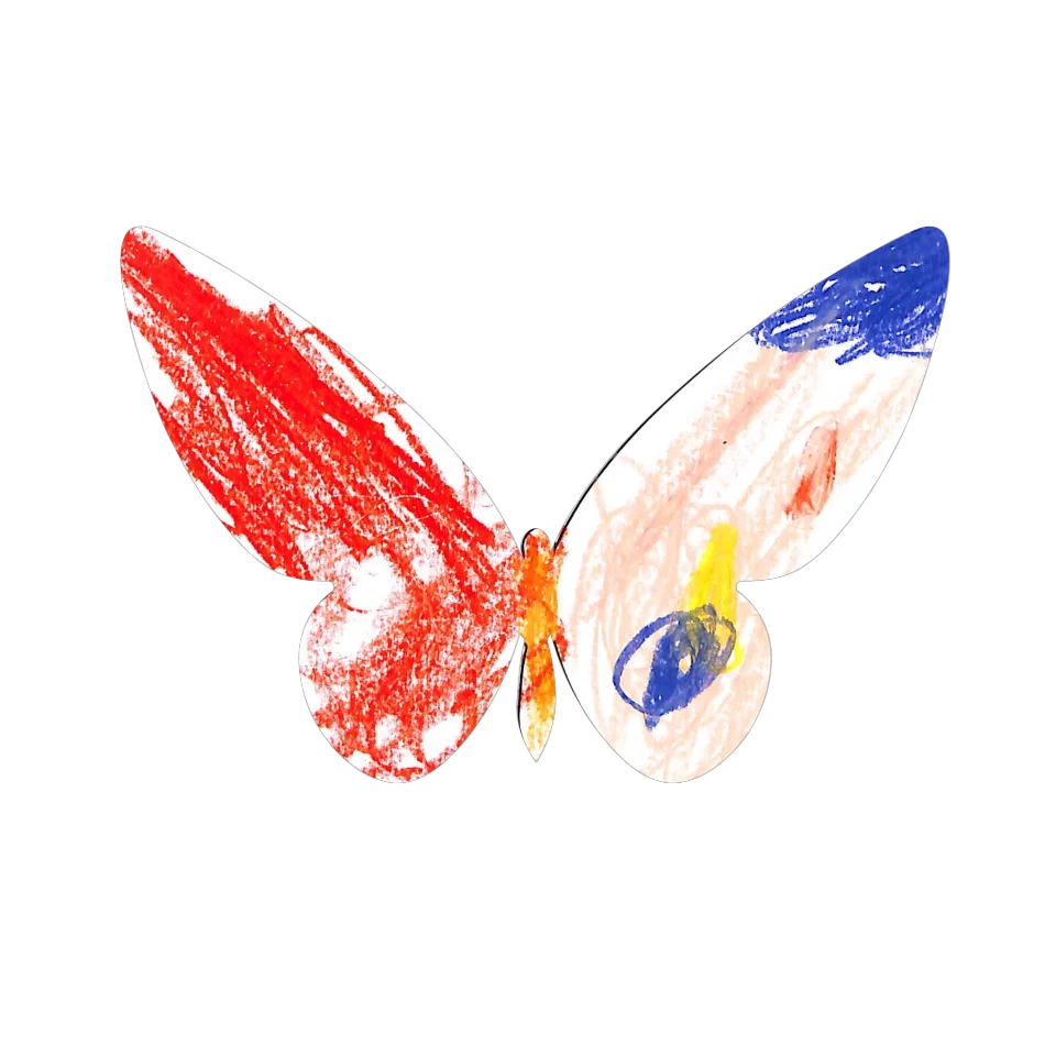 Original Butterfly Image