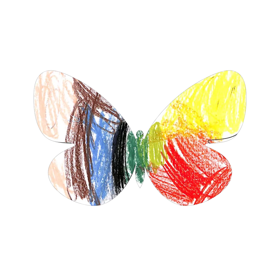 Original Butterfly Image