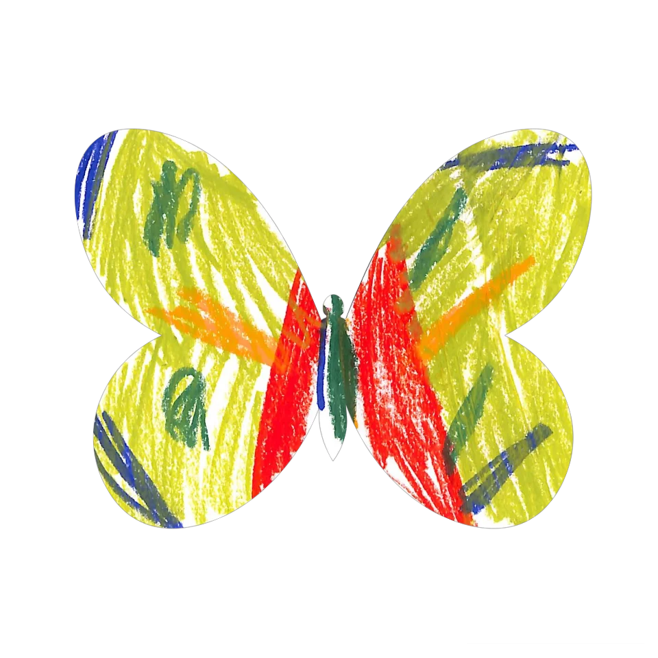 Original Butterfly Image
