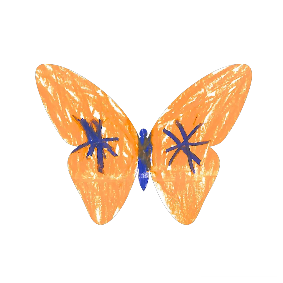 Original Butterfly Image