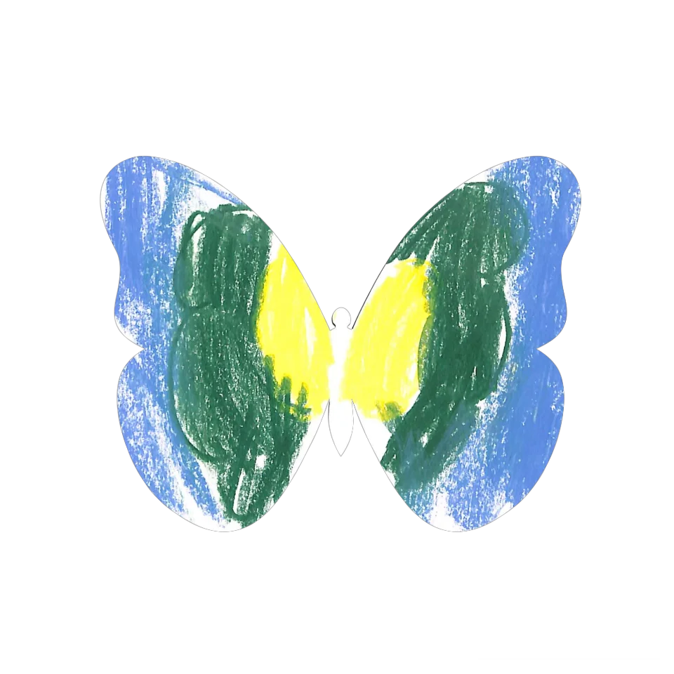 Original Butterfly Image