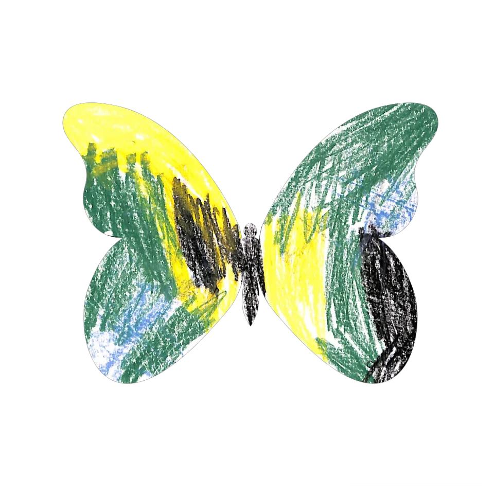 Original Butterfly Image