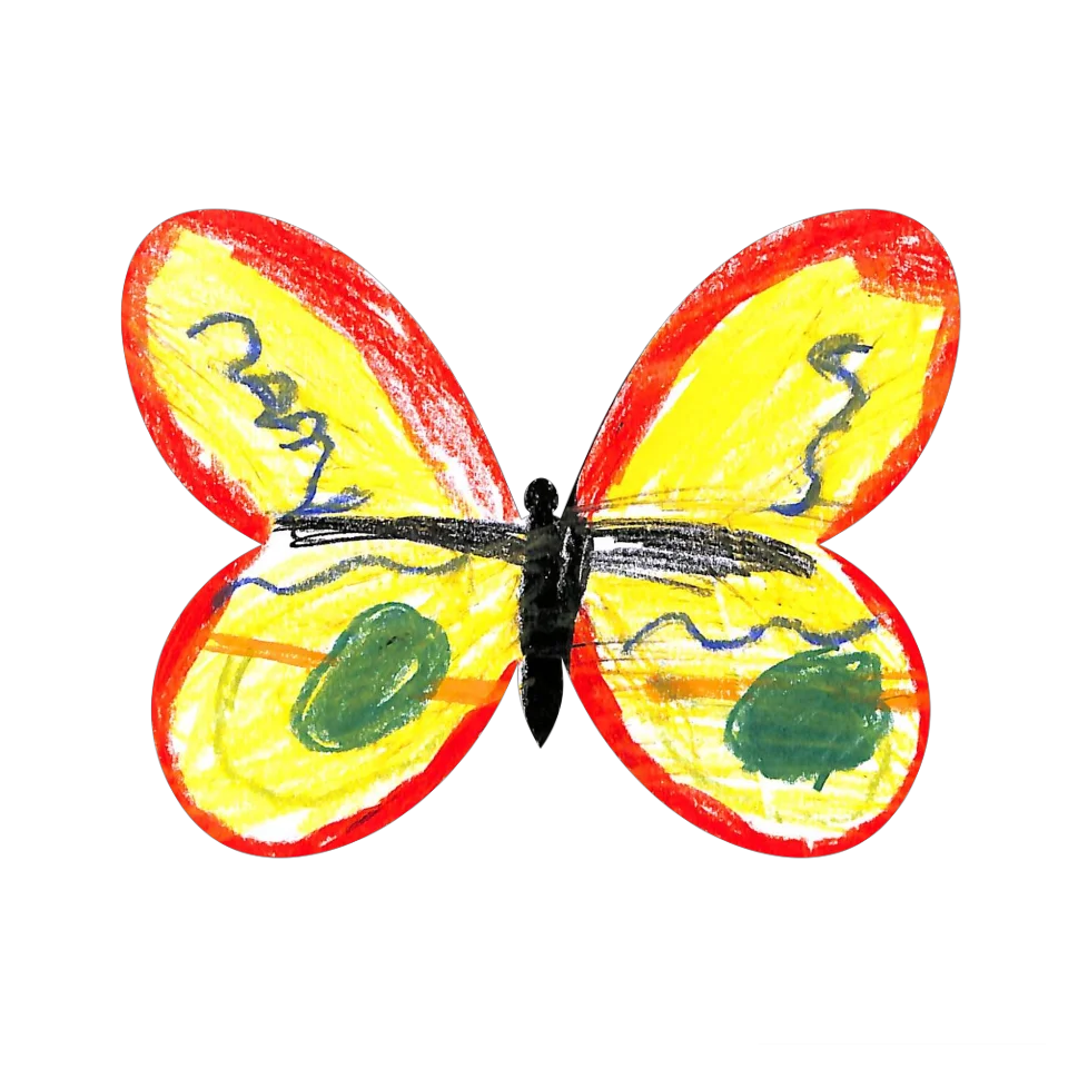 Original Butterfly Image
