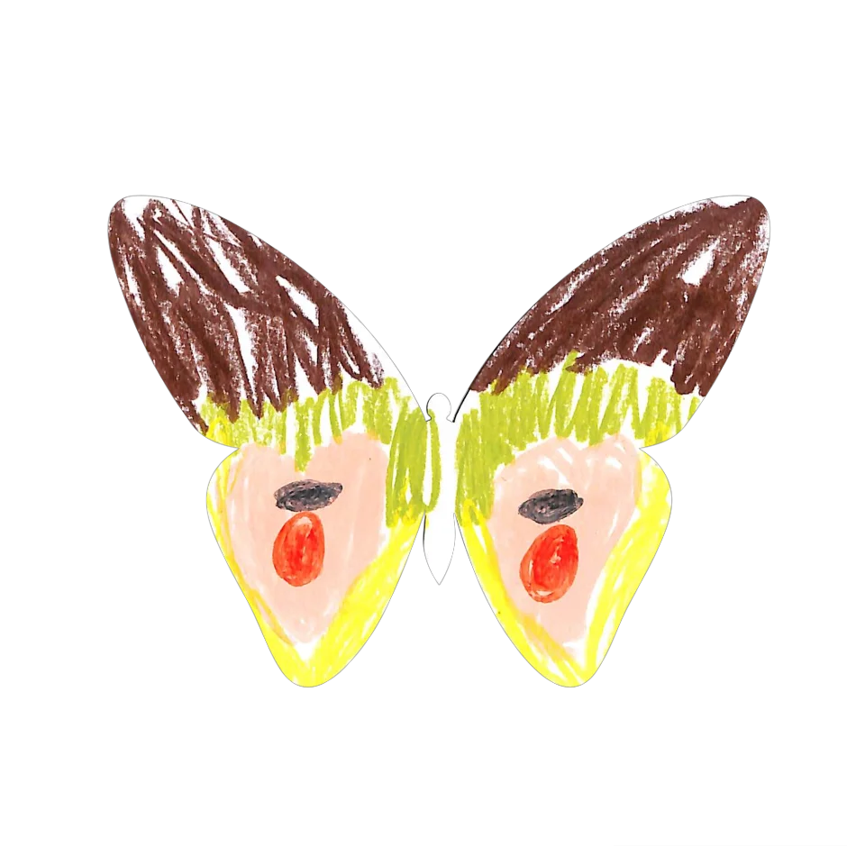 Original Butterfly Image