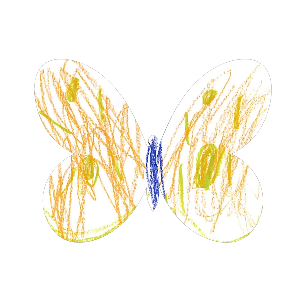Original Butterfly Image