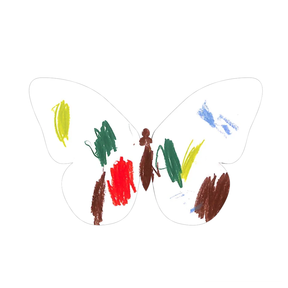 Original Butterfly Image