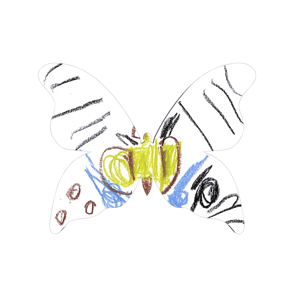 Original Butterfly Image