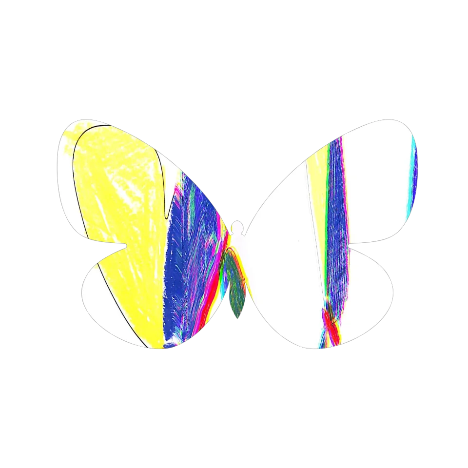 Original Butterfly Image