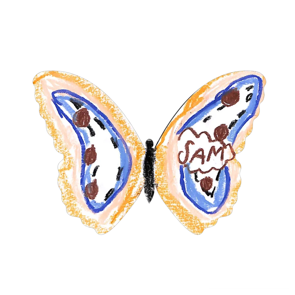 Original Butterfly Image