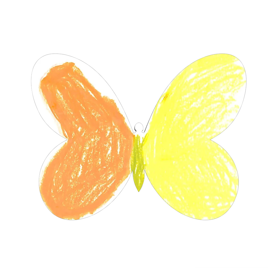 Original Butterfly Image