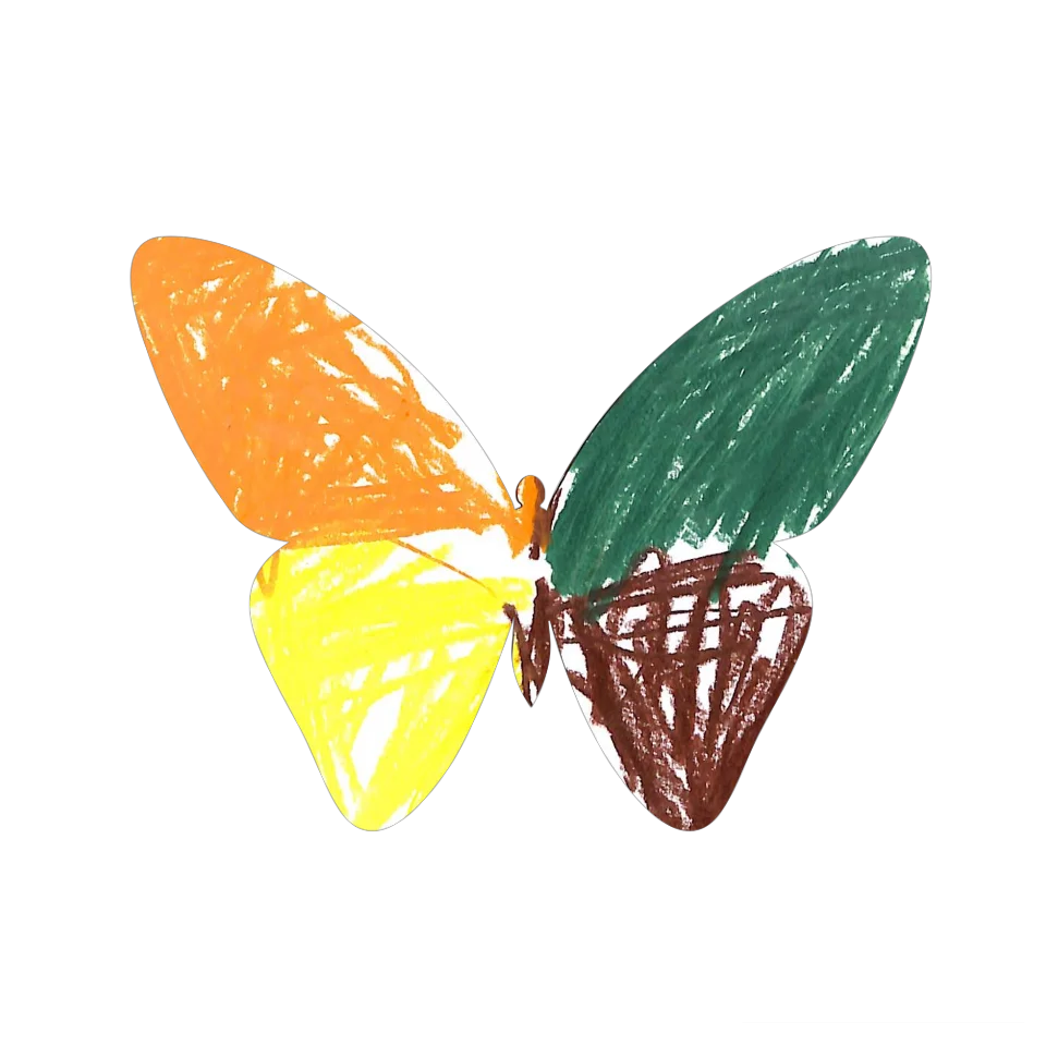 Original Butterfly Image