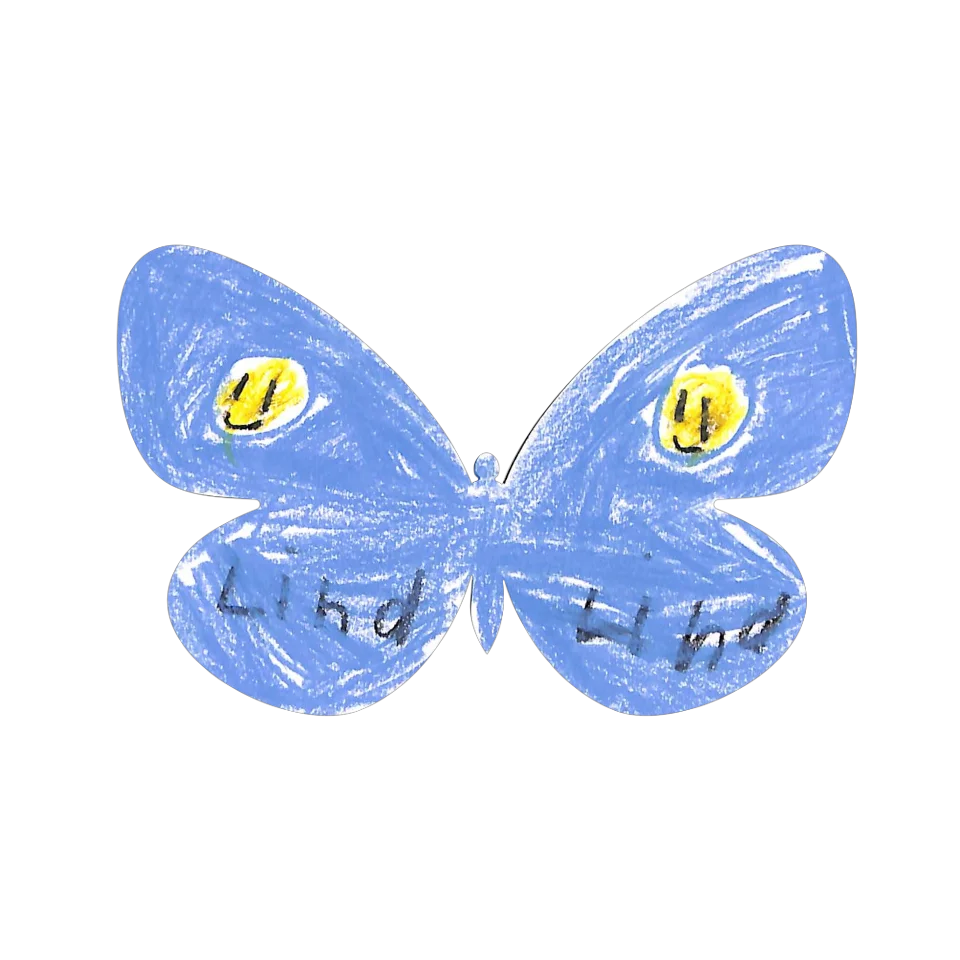 Original Butterfly Image