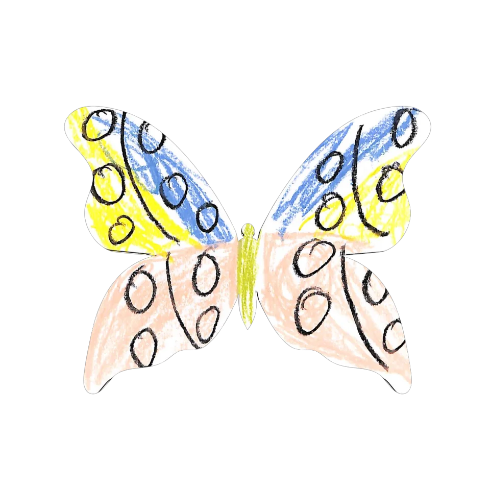 Original Butterfly Image