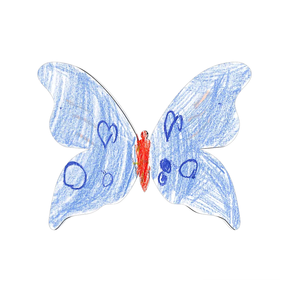 Original Butterfly Image