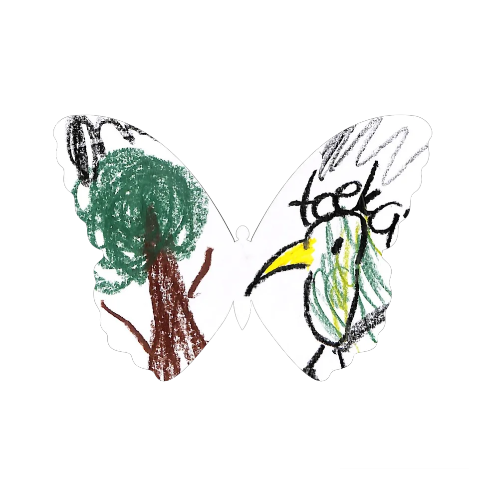 Original Butterfly Image