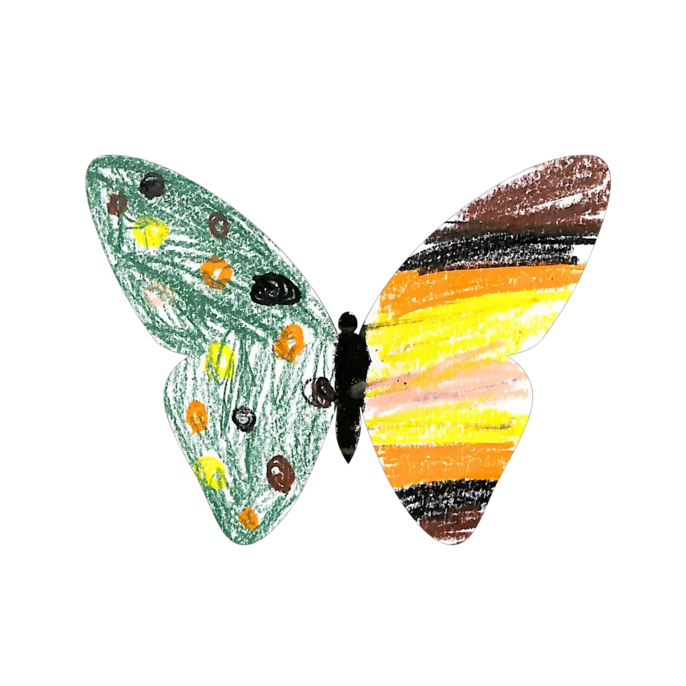 Original Butterfly Image