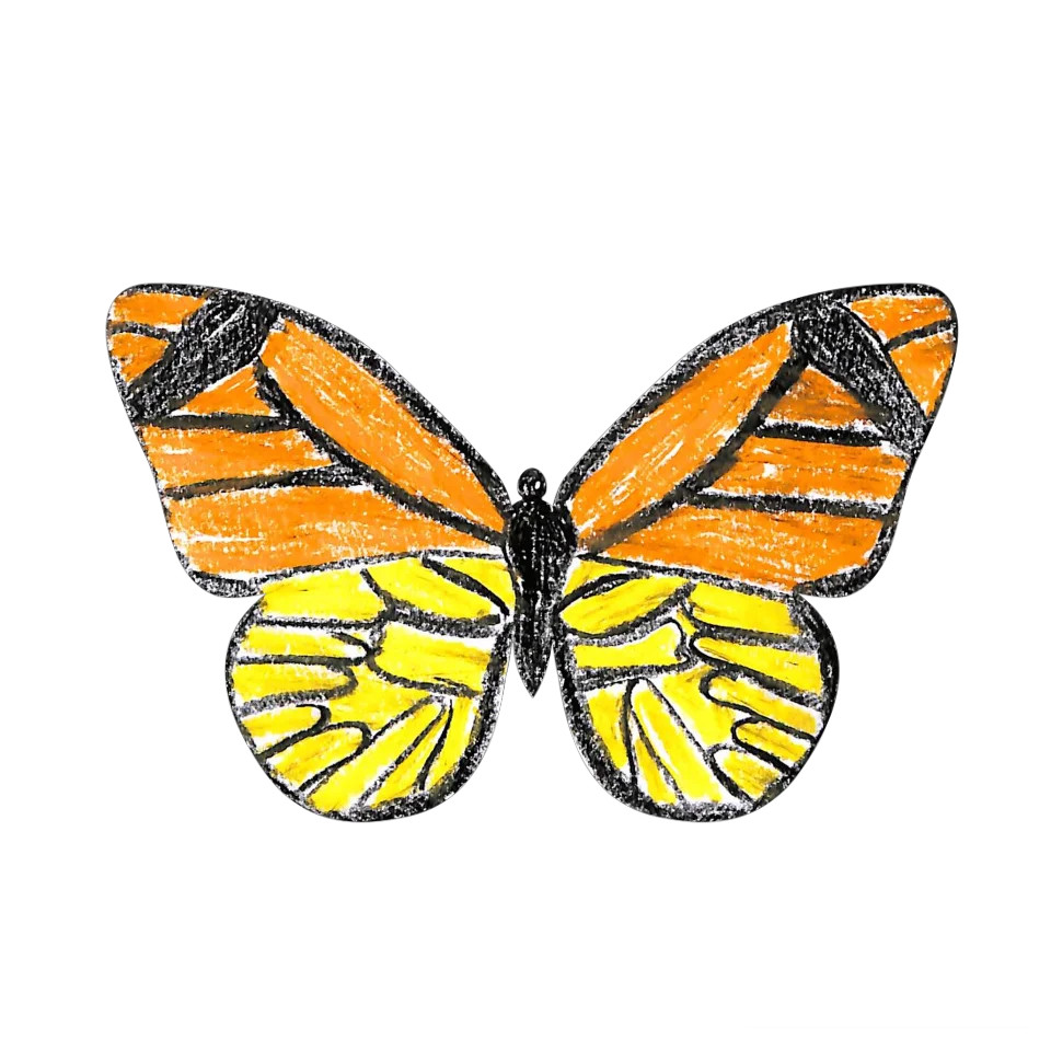 Original Butterfly Image