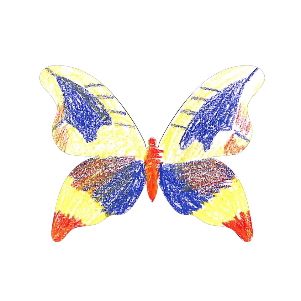 Original Butterfly Image