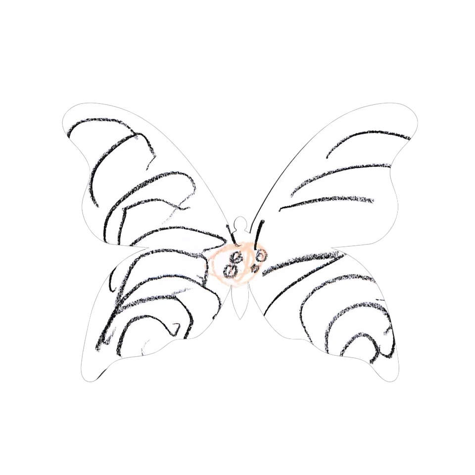 Original Butterfly Image