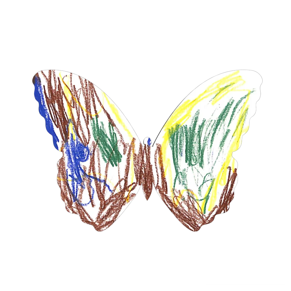 Original Butterfly Image